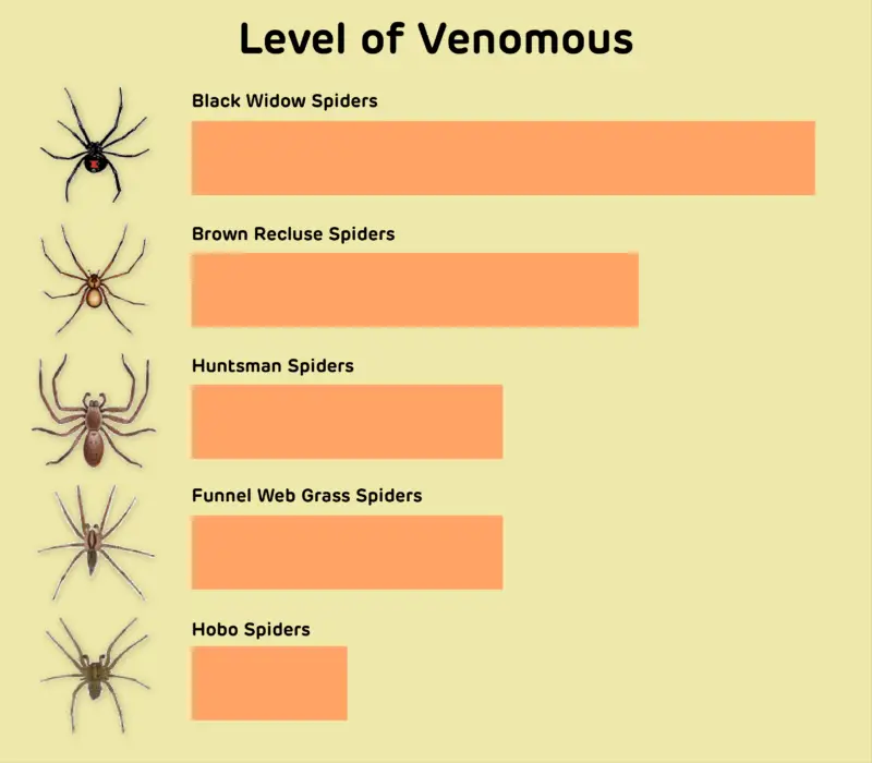 huntsman-spider-venom-e1587661981289.png
